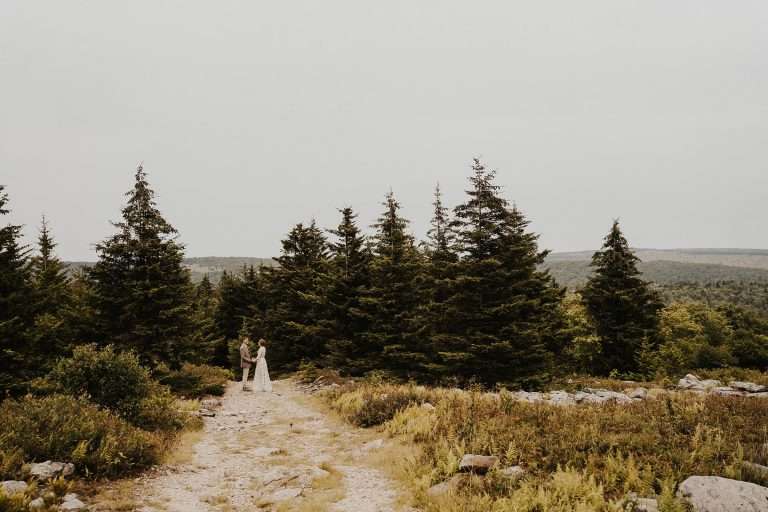 CANAAN/DOLLY SODS INTIMATE WEDDING | EMILY+DAVE